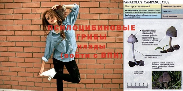 mdpv Волосово