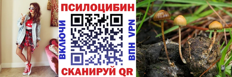 Псилоцибиновые грибы GOLDEN TEACHER  это как зайти  Магас 
