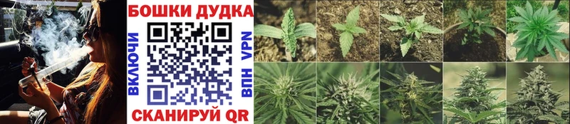 Марихуана THC 21% как найти закладки Магас